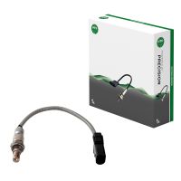 Lambda-Sonde vor Kat