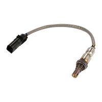 Lambda-Sonde vor Kat OE