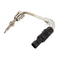 Abgas, Temperaturfühler