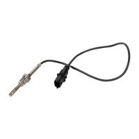 Sensor, Abgastemperaturen