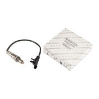 Lambda-Sonde nachgeschaltet