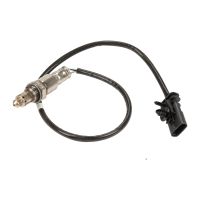 Lambda-Sonde nachgeschaltet