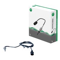 Temperatursensor Abgas