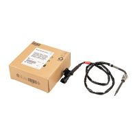 Abgastemperatursensor