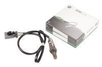 Lambda Sonde vor Kat