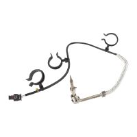 Abgastemperatursensor