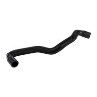 Ölentlüftungsschlauch Motor