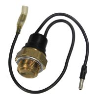 Thermoschalter am Kühler