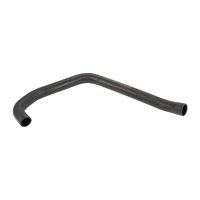 Kühlerschlauch unten