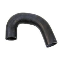 Kühlerschlauch unten Thermostat