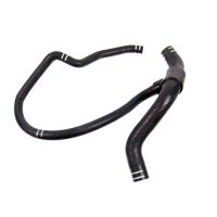 Kühlerschlauch unten