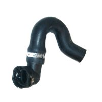 Kühlerschlauch unten rechts