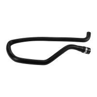 Kühlerschlauch Ausgleichbehälter