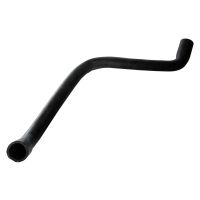 Kühlerschlauch unten