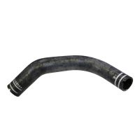 Kühlerschlauch unten