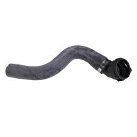 Kühlerschlauch Motor Ausgang