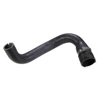 Kühlerschlauch Unten Kühler