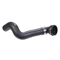 Kühlerschlauch Unten Ausgleichsbehälter