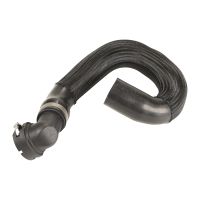 Kühlerschlauch oben