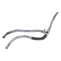 Kühlerschlauch am Ausgleichsbehälter