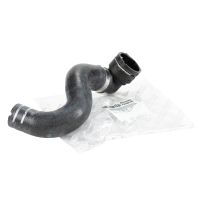 Kühlerschlauch unten am Kühler