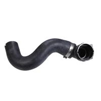 Kühlerschlauch unten am Kühler