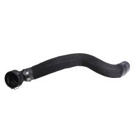 Kühlerschlauch unten am Kühler