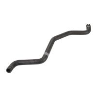 Kühlerschlauch am Ausgleichsbehälter