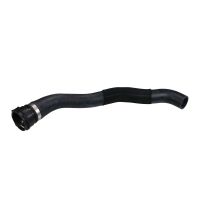 Kühlerschlauch oben am Kühler