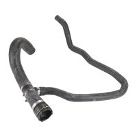 Kühlerschlauch unten am Kühler