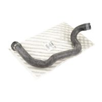 Kühlerschlauch unten rechts