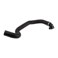 Kühlerschlauch unten rechts