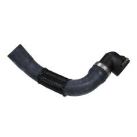 Kühlerschlauch unten rechts