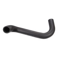 Kühlerschlauch zum Thermostat Original
