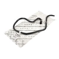 Kühlerschlauch vom Ausgleichsbehälter