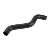 Kühlerschlauch Eingang