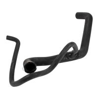 Kühlerschlauch unten