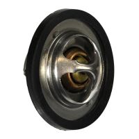 Thermostateinsatz 88°