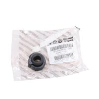 Elastische Buchse für den Kühler