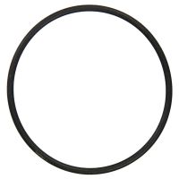 Dichtring Thermostat 1372 1581 ccm