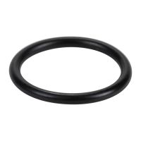 O-Ring Wasserpumpe Rohr Thermostat