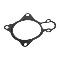 Wasserpumpendichtung