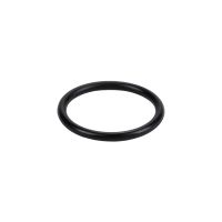 Dichtung für die Wasserpumpe