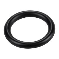 Dichtung Wasserpumpe Thermofühler