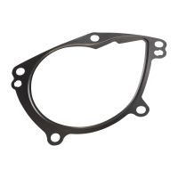 Wasserpumpendichtung