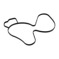 Wasserpumpen Dichtung