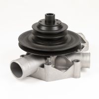 Wasserpumpe Magneti Marelli