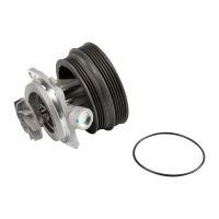Wasserpumpe Komplett
