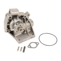 Wasserpumpe Flache Ausführung 100 mm