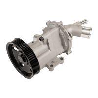 Wasserpumpe Magneti Marelli